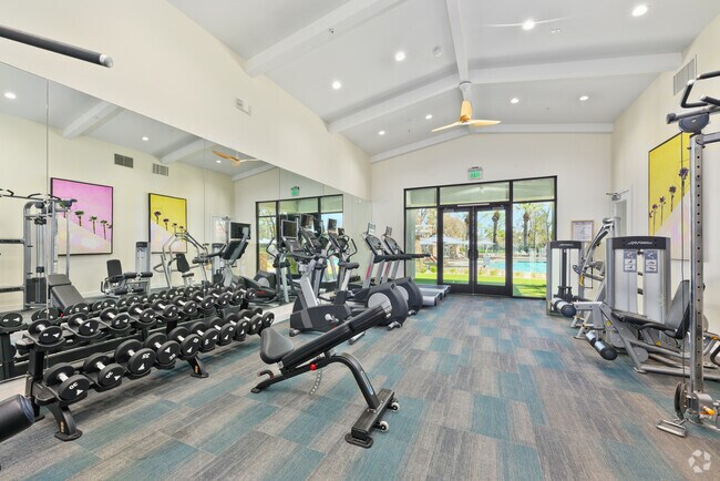 Gimnasio