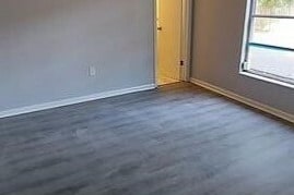 Photo - Primrose Orlando