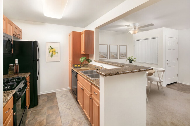 Photo - Evergreen Park