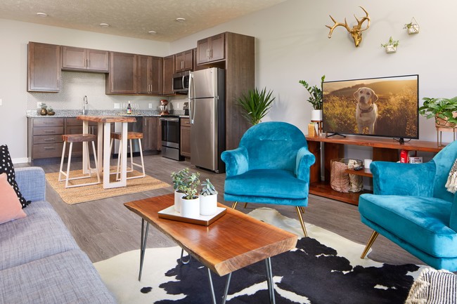 Kitchen - Living Room