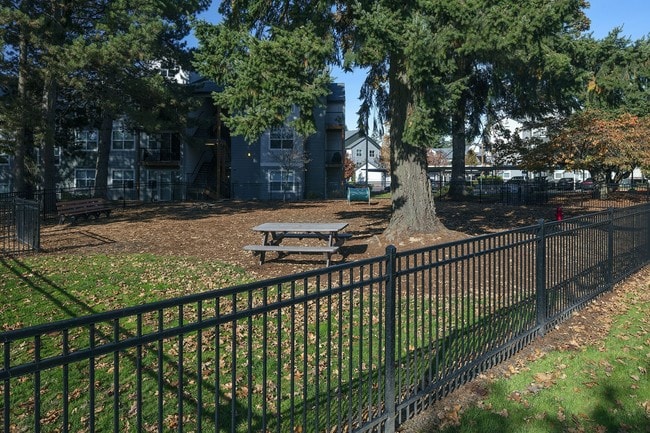 Jory Trail At The Grove