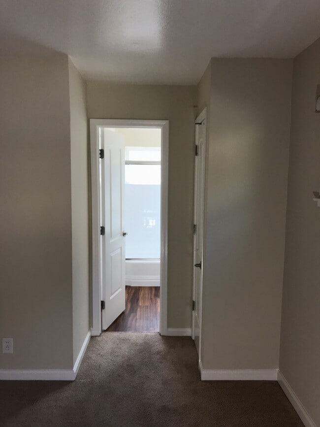 Colony Apartments
