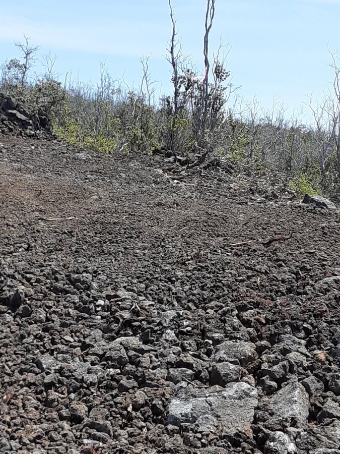 Photo - 92-8985-9194 Tiki Ln