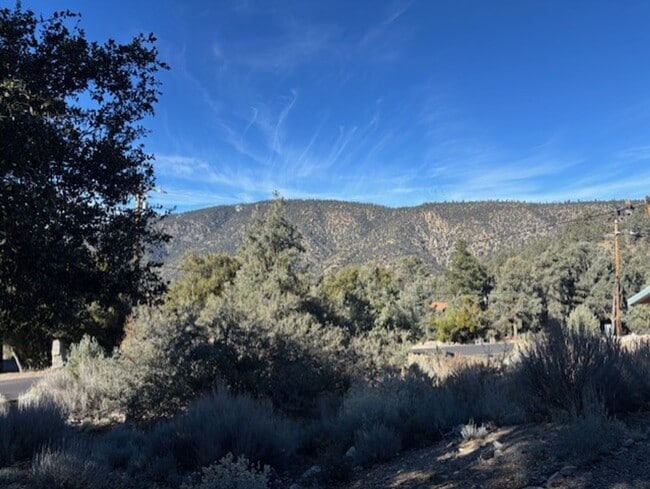 Photo - 2028 Linden Dr Unidad 1