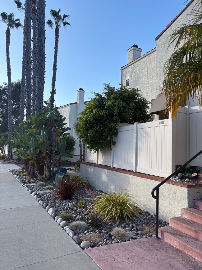 Photo - 2914 Luciernaga St