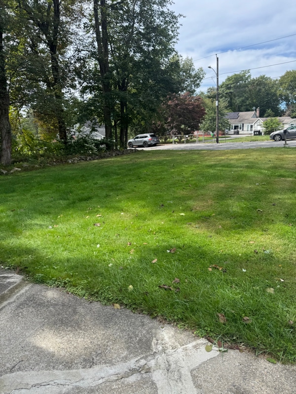 Photo - 40 Park Hill Rd