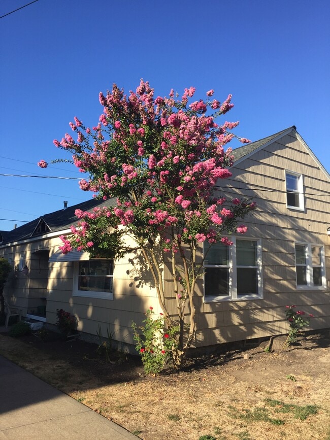 Photo - 1006 E 2nd St