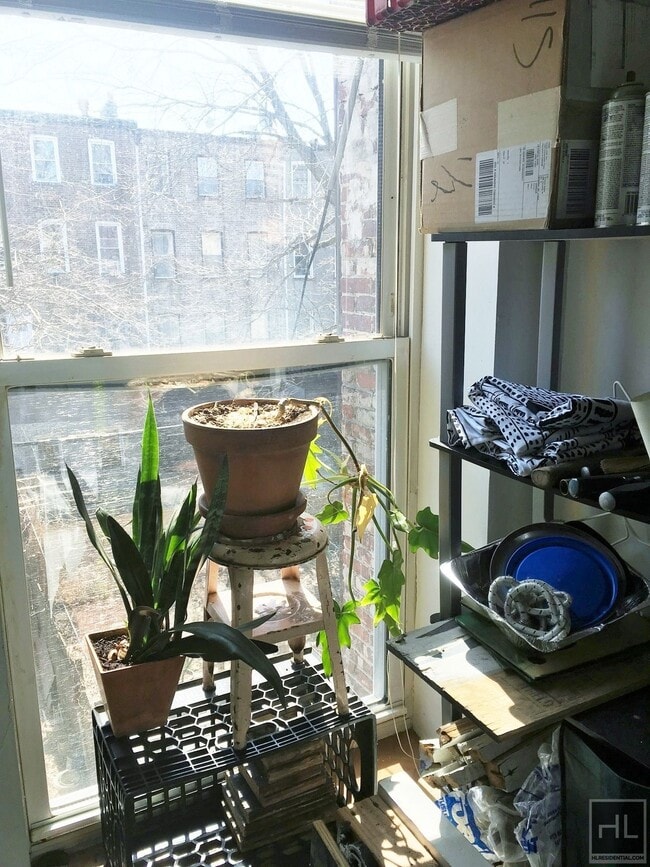 Photo - HALSEY STREET