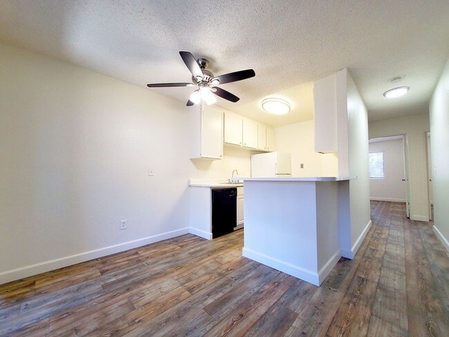 Photo - Indian Springs