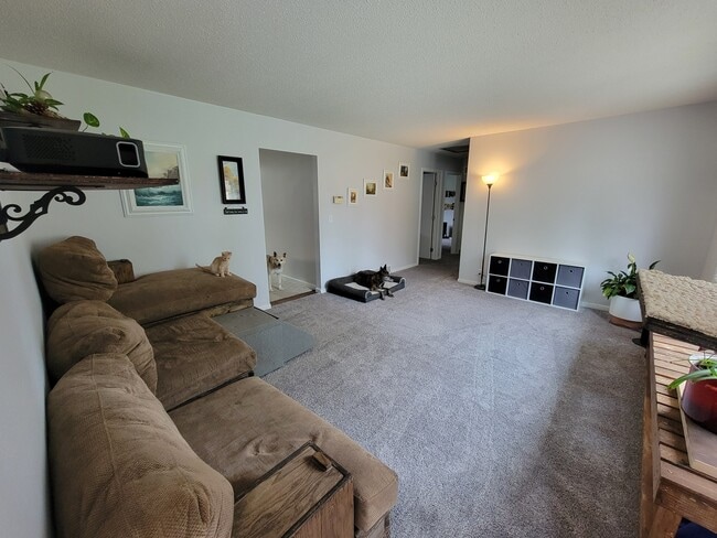 Photo - 512 Spruce Dr