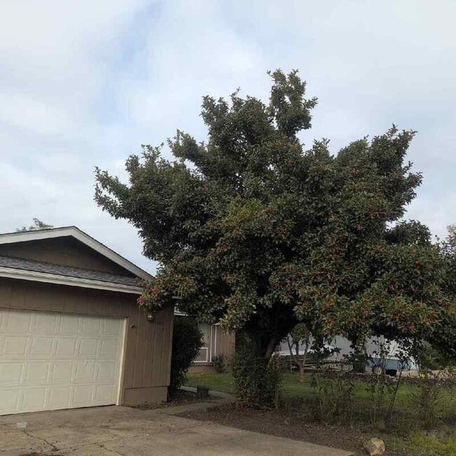 Photo - 231 Hawthorne St