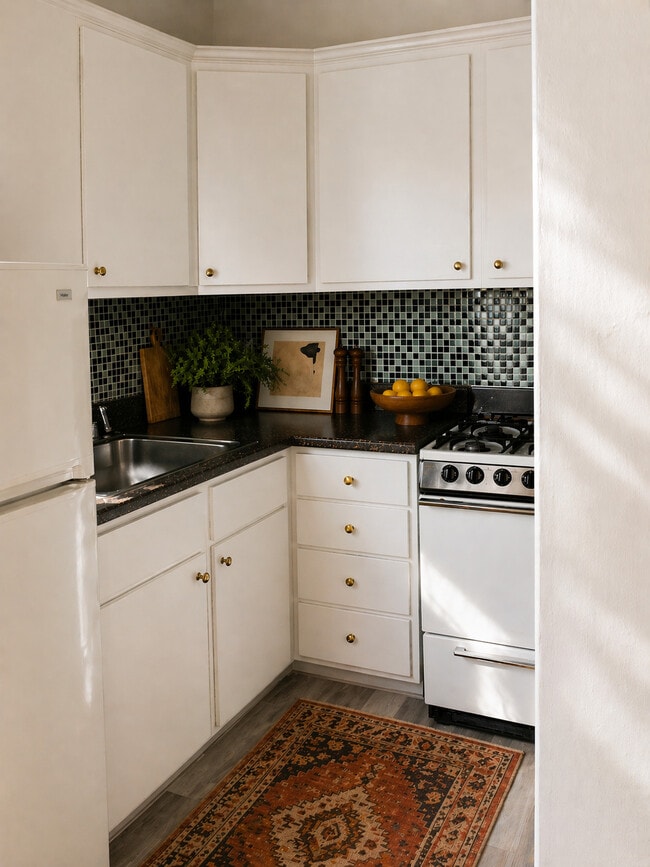 Large Studio, 400sf, Kitchen - The Dulion