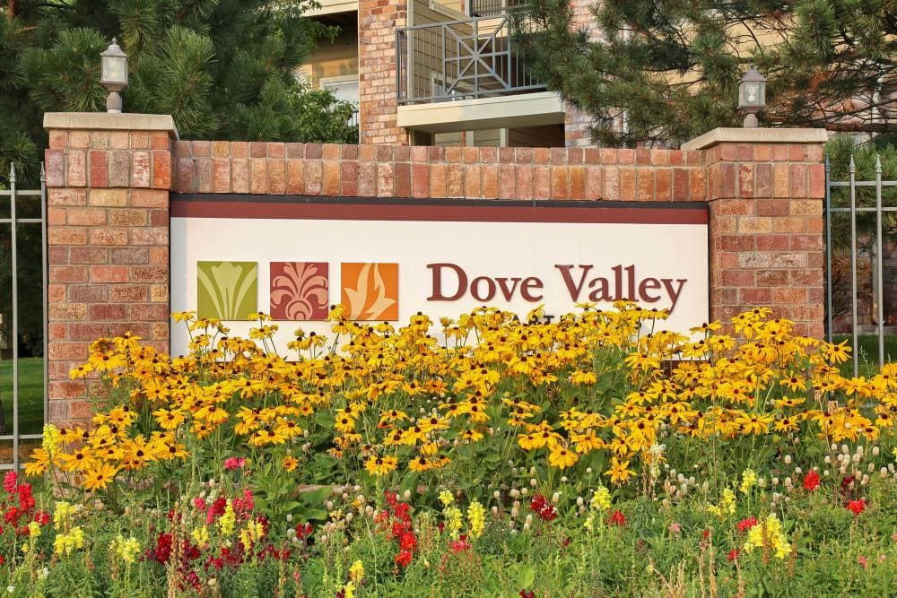 Dove Valley Apartments For Rent In Englewood Co Forrentcom