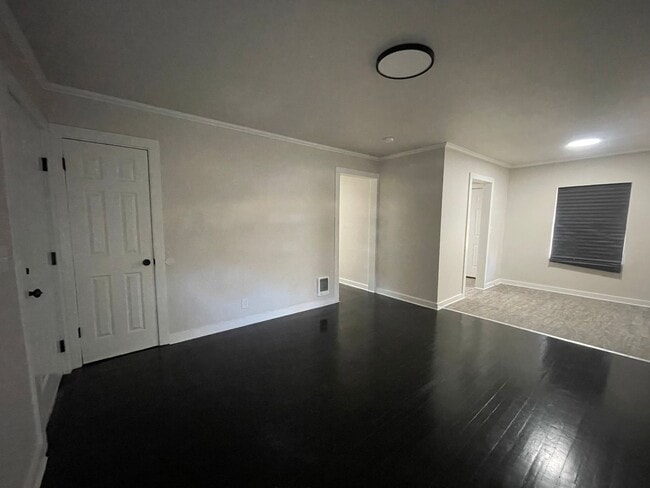 Photo - Highland Charmer! Come see Today!