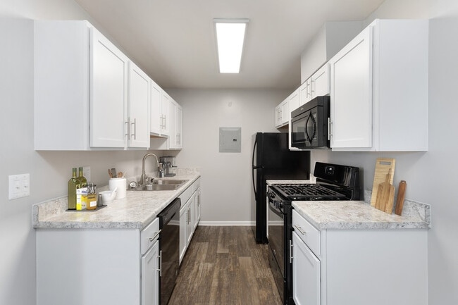 Photo - Brightwood Forest