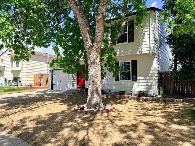 Photo - Updated Single-Family Home in Broomfield!