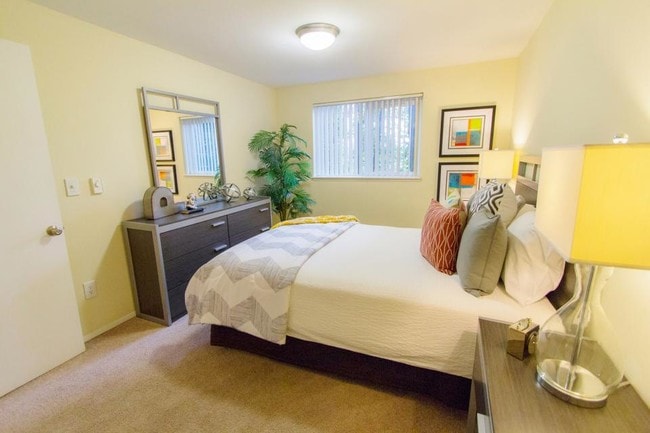 Photo - Pacific Sunrise