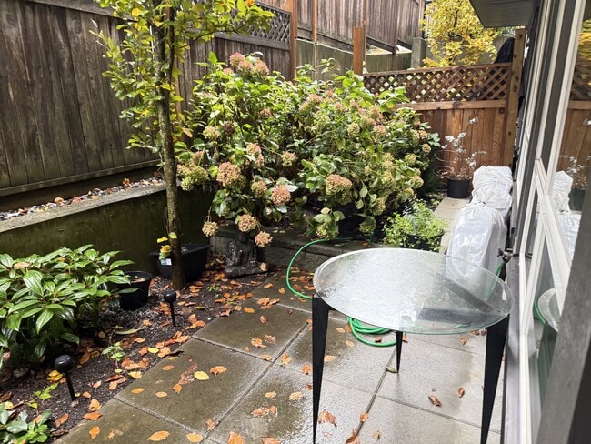 Photo - 244 Selby St