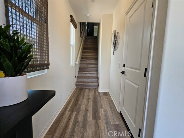 3748 Verdana Cir