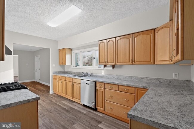 Building Photo - 32 Rosewood Rd