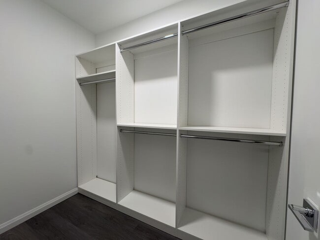 Photo - The Royal Blue