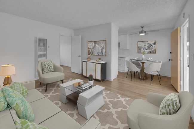Paloma Apartments