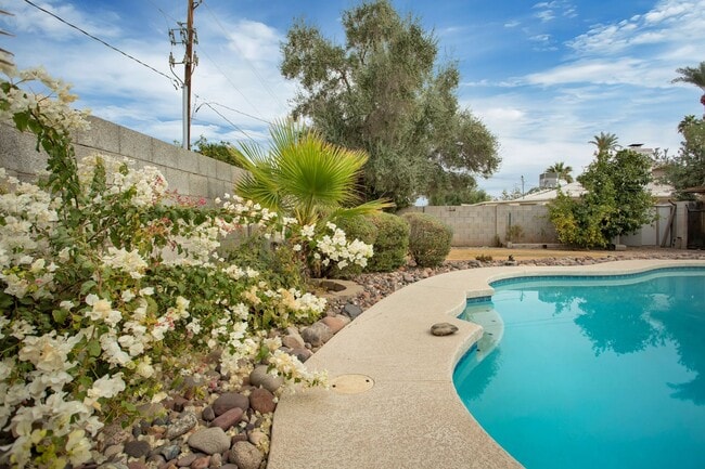 Photo - Modern Home with Pool in the Best ASU neighborhood