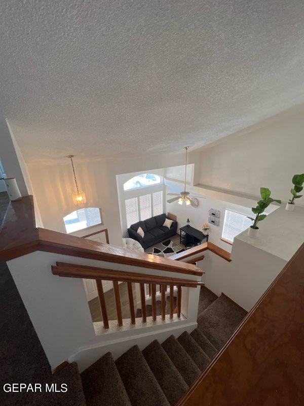 Photo - 12157 Chato Villa Dr