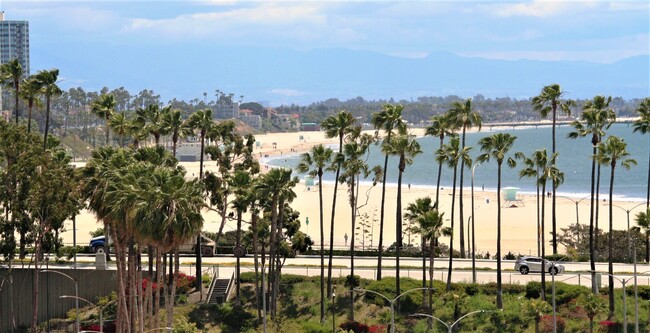 Coast Line View from Unit - Zoomed In - 388 E Ocean Blvd Condo Unit 517