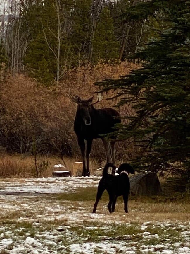 Photo - 99 Riverside Rd