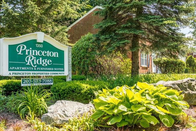 Princeton Ridge