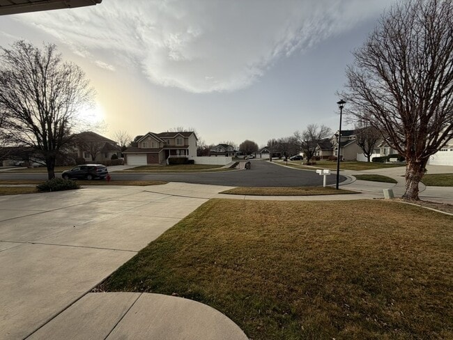 Photo - 11651 Mapleberry Ct