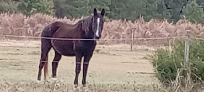 Photo - 892 Smith Farm Rd Unidad TheLoft