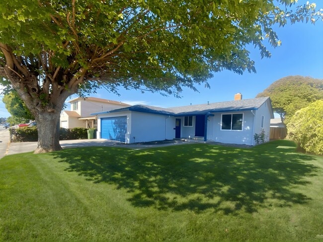 Building Photo - Modern 3BR/2BA Fremont Home with Stylish U...