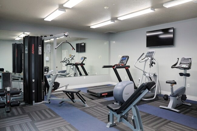 Shorline Gym-1