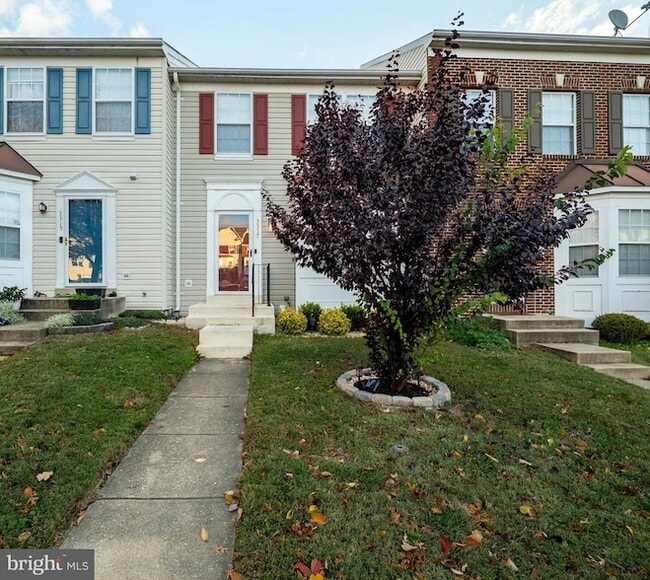 Building Photo - 3317 Hibiscus Ct