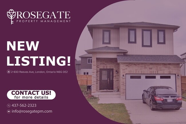 Building Photo - Cozy 1-Bedroom Basement Apartment with Parking in North London Unit 2