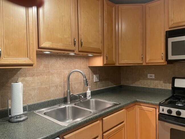 kitchen - 16W481 Lake Dr Unidad 201