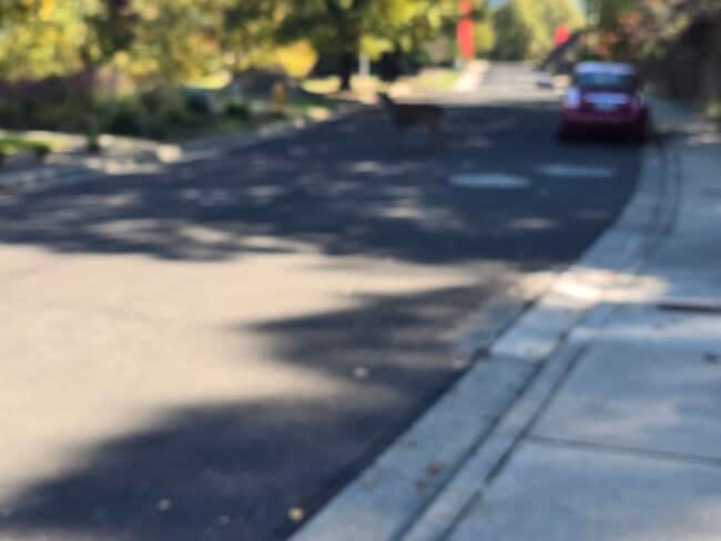 Photo - 3 bedroom 2.5 bathroom Custom Built Home