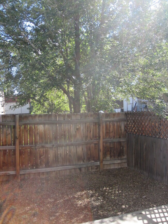 Small Yard - 610 S Cedar St Unit #1