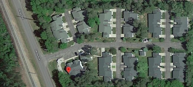 Photo - Whitetail Run