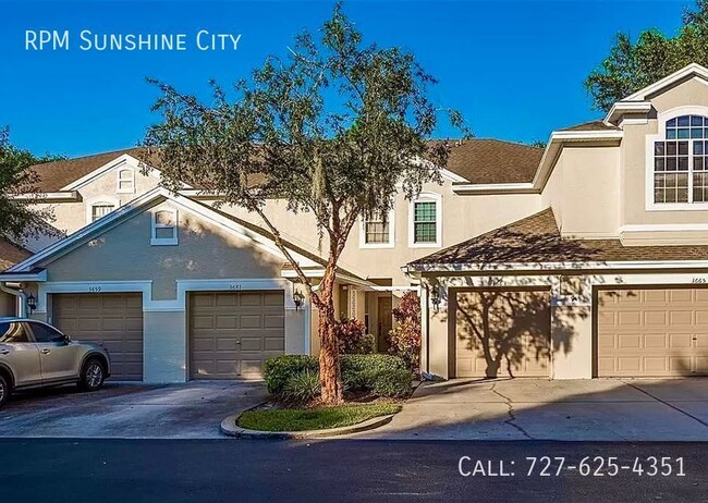 Charming Townhome in Palm Harbor - Charming Townhome in Palm Harbor