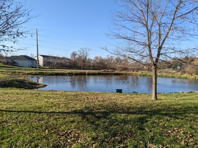 Goldfinch Meadows - Goldfinch Meadows Apartments