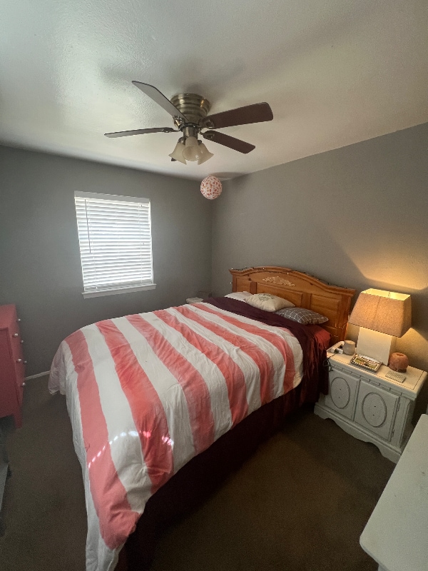 Photo - 3926 Mehalia Dr