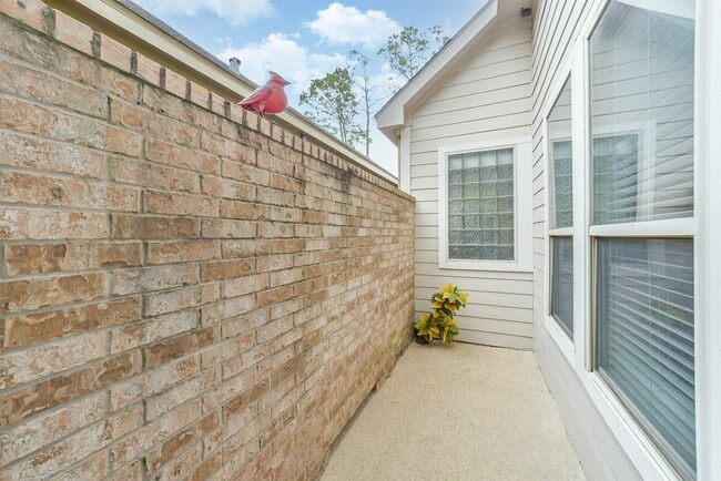 Photo - 12507 Baldwin Springs Ct