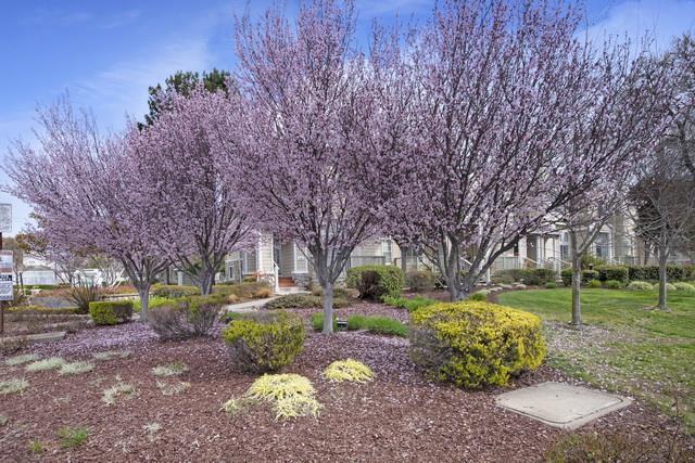 Photo - 336 Meridian Dr