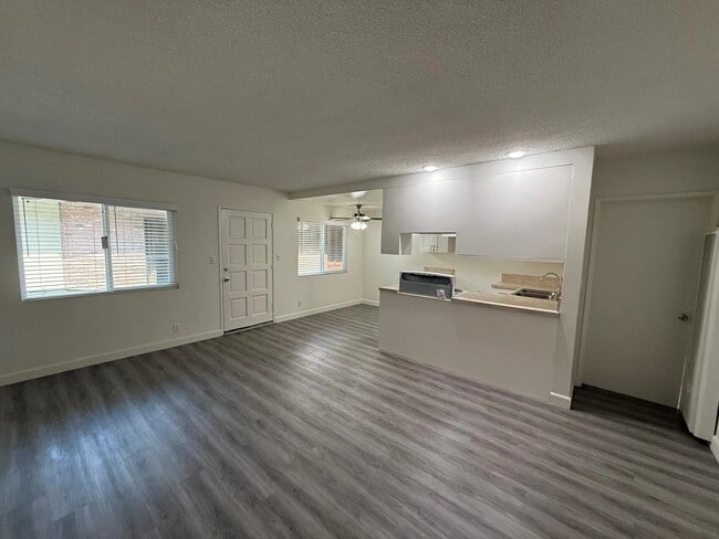 Photo - New Orleans II