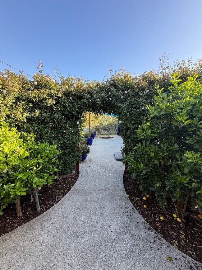 Photo - Convenient Modern 2 Bed/2 Bath in Solvang