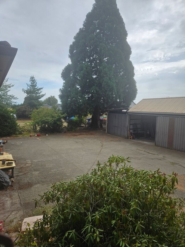 Photo - Spacious 4 bedroom/4 bath home on 1.5 acres