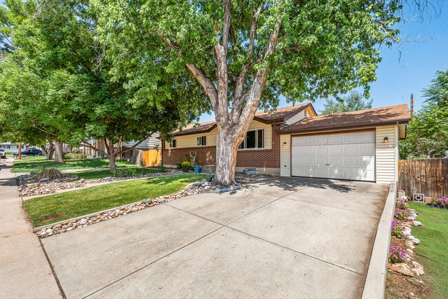 Photo - 11542 Downing St